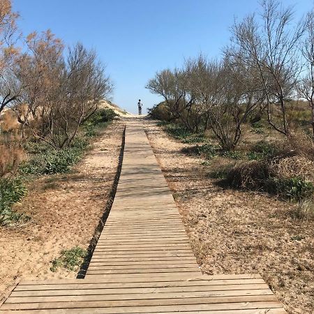 Atico Duplex En Aigua Blanca Oliva Apartman Kültér fotó