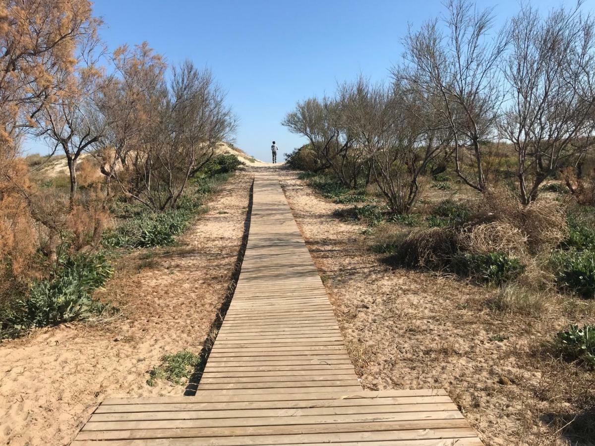 Atico Duplex En Aigua Blanca Oliva Apartman Kültér fotó